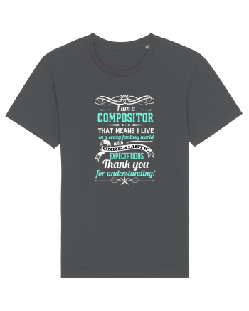 COMPOZITOR Anthracite