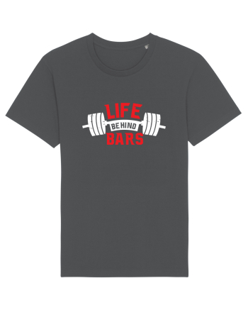 Life Behind Bars Anthracite