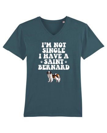 SAINT BERNARD Stargazer