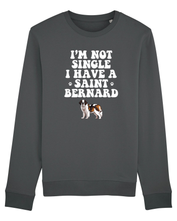 SAINT BERNARD Anthracite