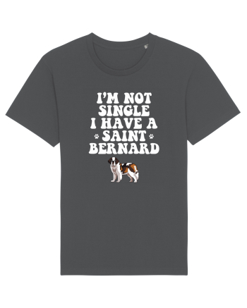 SAINT BERNARD Anthracite