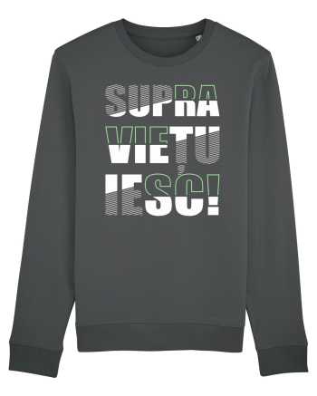 Supraviețuiesc Anthracite