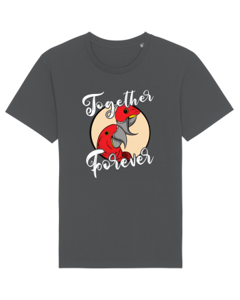 De ziua îndrăgostiților - Together forever Anthracite