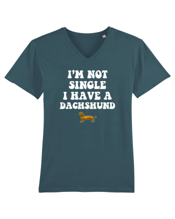 DACHSHUND Stargazer