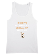 CHIHUAHUA Maiou Bărbat Runs
