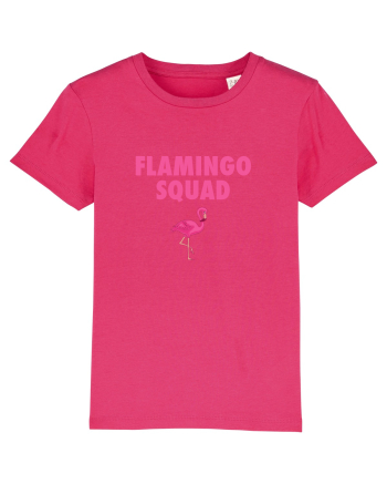 FLAMINGO Raspberry