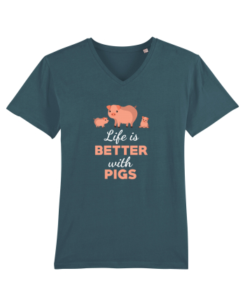 PIGS Stargazer