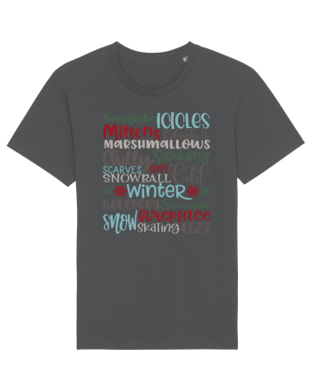 Winter - Iarna Anthracite