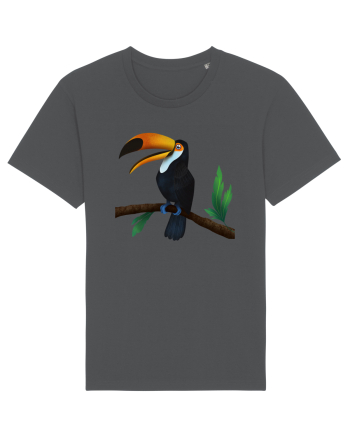 Tucan Anthracite