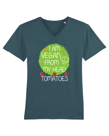 VEGAN Stargazer