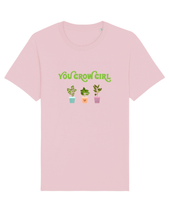 PLANTS Cotton Pink