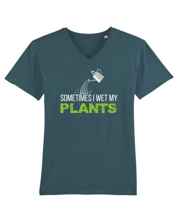 PLANTS Stargazer