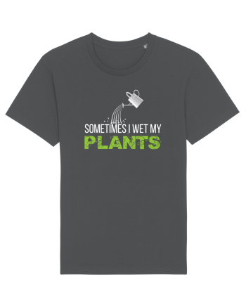 PLANTS Anthracite