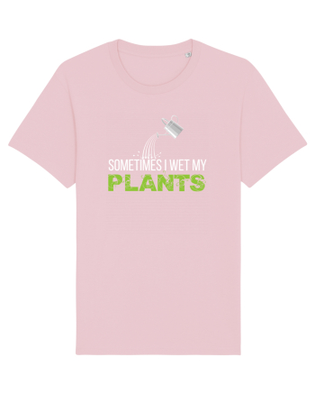 PLANTS Cotton Pink
