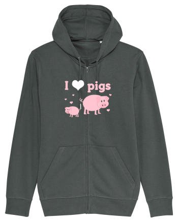 PIGS Anthracite