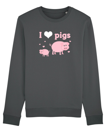 PIGS Anthracite