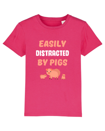 PIGS Raspberry