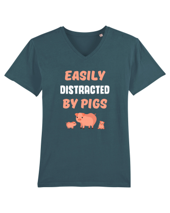 PIGS Stargazer