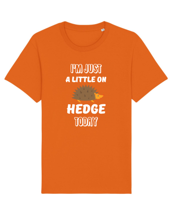 HEDGEHOG Bright Orange