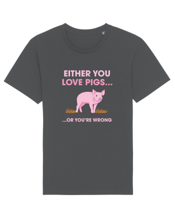 PIGS Anthracite