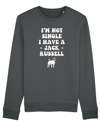 JACK RUSSELL Anthracite