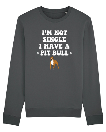 PIT BULL  Anthracite