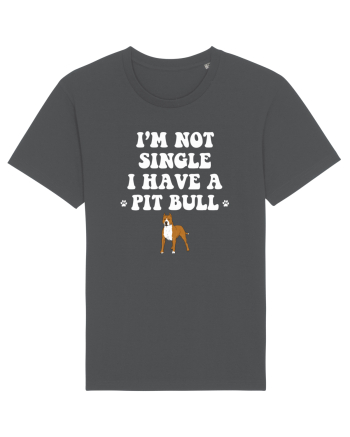 PIT BULL  Anthracite