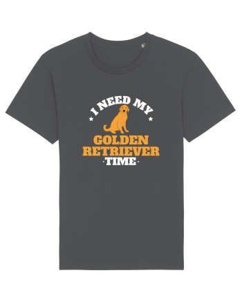 GOLDEN RETRIEVER Anthracite