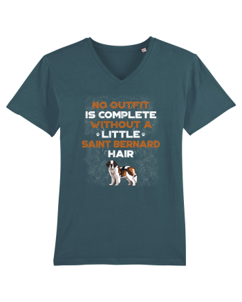 SAINT BERNARD Stargazer