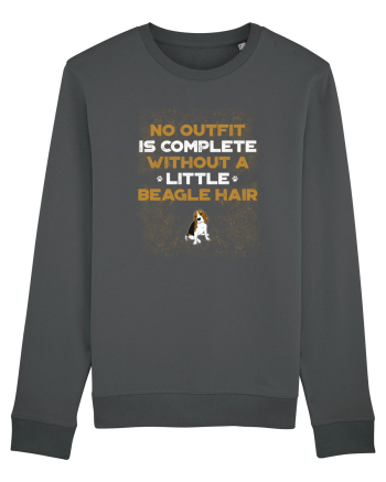 BEAGLE Anthracite