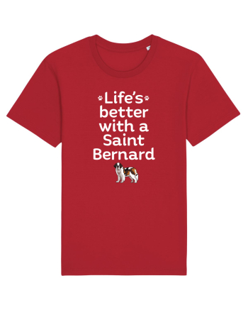 SAINT BERNARD Red