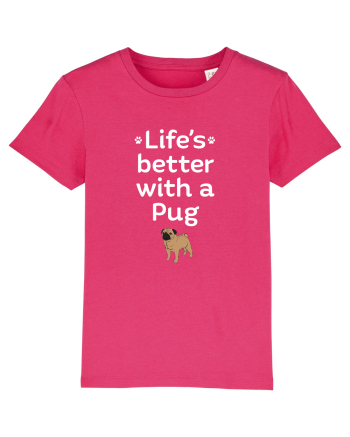 PUG Raspberry