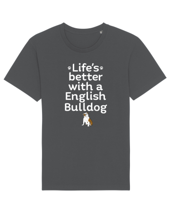BULLDOG Anthracite