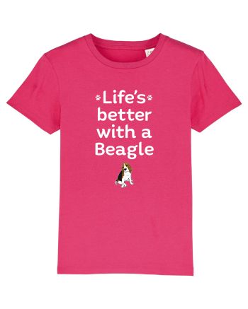 BEAGLE Raspberry