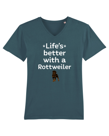 ROTTWEILLER Stargazer