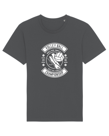 Volei Champion White Anthracite