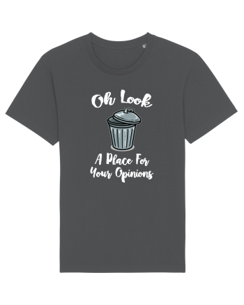 PLACE OPINIONS Anthracite