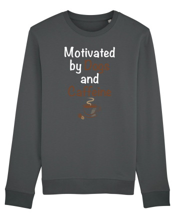 DOGS AND COFFEE Anthracite