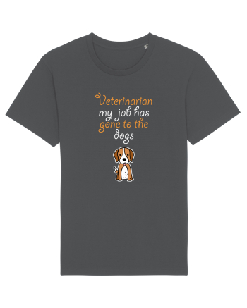 VETERINARIAN Anthracite