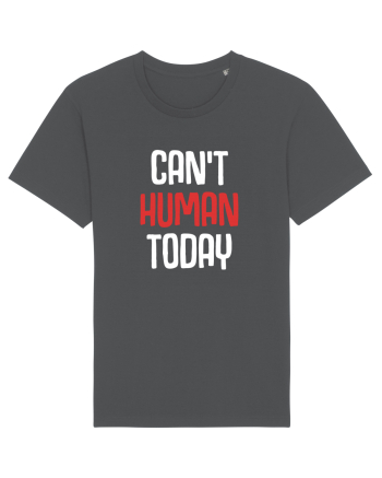 HUMAN Anthracite