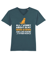 GOLDEN RETRIEVER Tricou mânecă scurtă guler V Bărbat Presenter