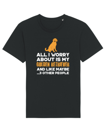 GOLDEN RETRIEVER Black