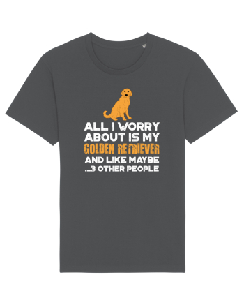 GOLDEN RETRIEVER Anthracite