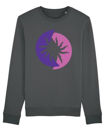 Tarantula Anthracite