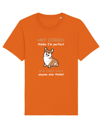 CORGI Bright Orange