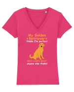 GOLDEN RETRIEVER Tricou mânecă scurtă guler V Damă Evoker