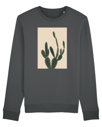 Cactus Anthracite