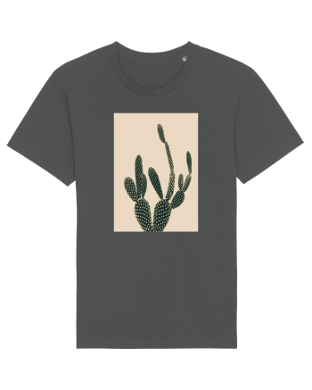 Cactus Anthracite