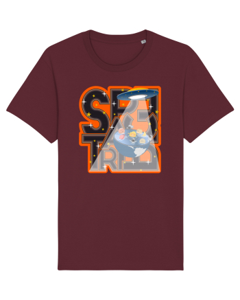 Space trip Burgundy