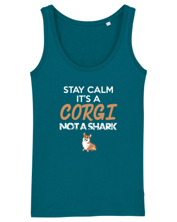 CORGI Ocean Depth
